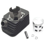Cilinder DR Evolution Vespa Ciao/Si/Citta/Bravo ø43mm Pen -10