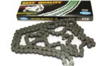 Ketting Regina 420 (1/4) 144 schakels - goud