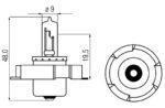 Lamp 6V-15W P26S halogeen