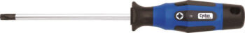 Torxsleutel Cyclus TX 10 x 80mm met meercomponentengreep