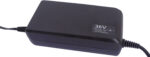 Acculader Gazelle 36 Volt 4 Ampère voor Panasonic modellen (vanaf 2015)